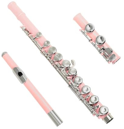 Flauto traverso professionale in do fori chiusi 16 fori rosa per principianti concerto Flauto Professionales