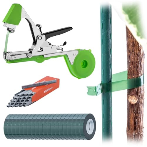 KADAX Set di pinze per piante, con 20 rotoli di nastro e 10000 graffette, ideale per legare rapidamente pomodori, cetrioli e piante rampicanti (verde)