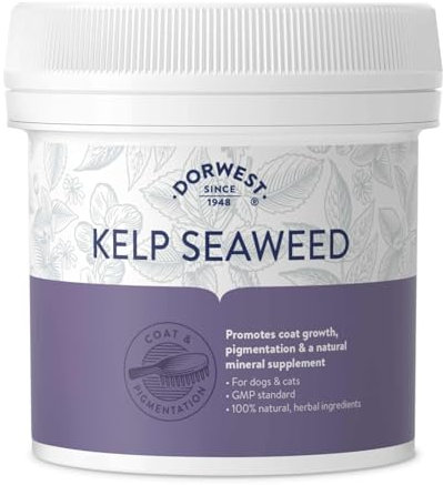 DORWEST HERBS Kelp Seaweed Powder 500g, Natural Powder for Dogs and Cats – Natural Mineral Supplement for Coat Growth and Pigmentation, Brown, (14DOR044), 500 g (Pack of 1)