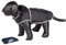 Nobby Regenmantel RAINY schwarz 36 cm
