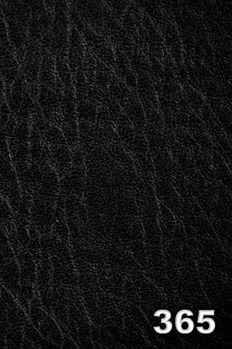 365 Day Journal: 365 Page Lined Daily Journal for 2020 and Beyond - Black Leather Look Paperback Design - Undated One Page A Day Diary Notebook for Men - 6 x 9 Inches (356 Day Journals, Band 2)