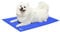 himaly Dog Cooling Mats, Cool Mat for Pet Cats Puppy, Foldable Self Gel Cool Pillow Pad, Non-slip Pet Beds Sleeping Mattress, M 20 * 26 inch/ 50 * 65cm Blue