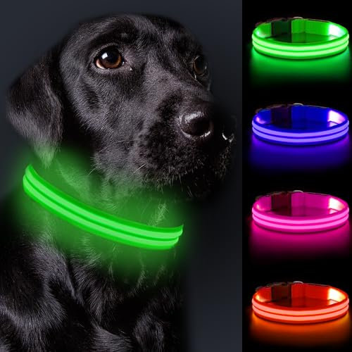Nepfaivy Leuchthalsband Hund USB Aufladbar - Hundehalsband Leuchtend Wasserdicht mit Verstellbarer Länge, LED Halsband Hund für Kleine Hunde mit 3 Beleuchtungsmodi für Nacht Sicherheit, Grün- S