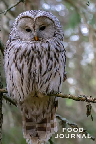 Owl Food Journal