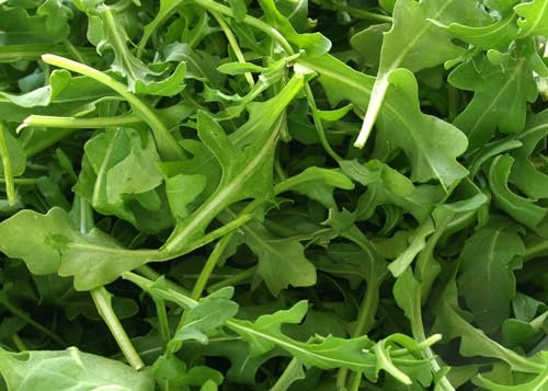 Just Seed Wild Rocket - Diplotaxis tenuifolia - 7000 Seed