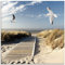 ARTland Wanddeko Glasbilder Wandbild Glas Bild einteilig Quadratisch Strand Meer Nordsee Küste Möwen Himmel Steg Natur Landschaft Dünen T9NJ