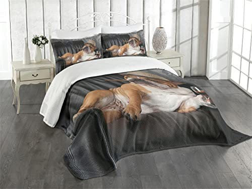 ABAKUHAUS Bulldogge Tagesdecke Set, Humorvoll Hund Trinken, Set mit Kissenbezügen Feste Farben, für Doppelbetten 220 x 220 cm,Schwarz Braun