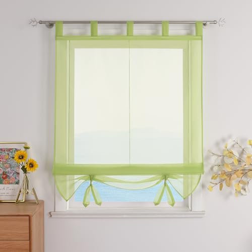 ESLIR Raffrollo mit Schlaufen Gardinen Küche Raffgardinen Transparent Schlaufenrollo Vorhänge Modern Voile Grün BxH 100x155cm 1 Stück