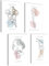 Mojoliving Anatomie Skelett Poster Set - Bilder für Schlafzimmer, Aesthetic Room Decor, Vintage Deko, Fitness Wandkunst