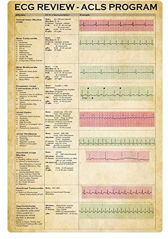 FJQWKLF Metallblechschilder „EKG-Wissen“ „EKG-Bewertung – Acls-Programm“, Poster, Kardiologe, Büro, Bildung, Plakette, Klinik, Krankenhaus, Zuhause, Wanddekoration, 30,5 x 40,6 cm