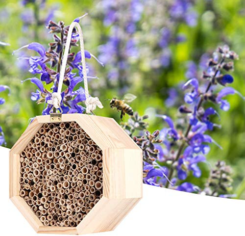 Robustes Insektenhaus, Bienenhaus mit großem Fassungsvermögen, Nistplatz im Freien