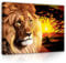 FORWALL Bilder Bilder Löwe Afrika Safari Tiere 100x75 cm - Leinwandbild Modern Canvas Groß XXL Schlafzimmer Wohnzimmer Wandbild Kunstdruck Wandbilder Wand Bild auf Leinwand Aufhängefertig