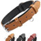 Grand Line Leder Hundehalsband, Lederhalsband Hund mit Weichem Gepolstertes, Breiter und Dicker Hundehalsband, Verstellbares Halsband Hunde für Kleine, Mittlere, Große Hunde (Braun, S)