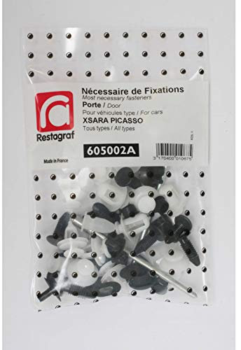 Restagraf - Kit de Fixations pour Portes XSARA PICASSO Toutes Versions (12/1999 à 09/2010) - Réf. 605002A - Sachet de 54 Pièces
