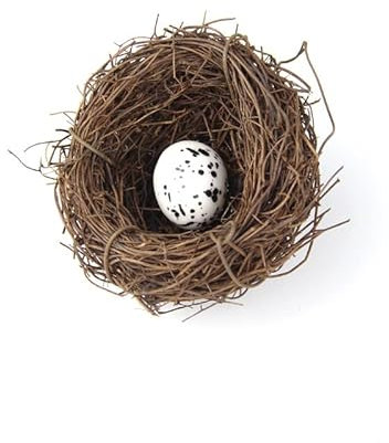 Hrlace künstliches Vogelnest Vogelhäuser Deko-Vogelnest mit Eiern naturgetreues Nest aus Zweigen und Stroh mit Kunsteiern Kunsthandwerk tolle Deko zu Ostern,Frühlingsdekoration 6 cm 1 Vogelei