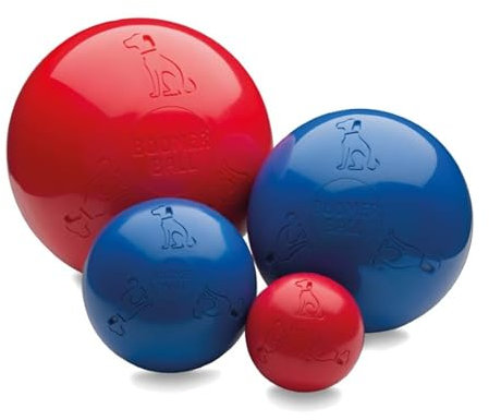 BOOMER BALL - Pelota para perros prácticamente indestructible. Pelota fuerte y duradera que flota en el agua para perros. Balón de fútbol para perros grandes de alta energía (Talla 250 mm)