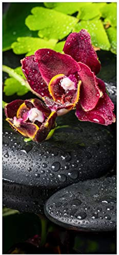 Türtapete Türposter Dunkelrote Orchideen-Blüte auf schwarzen Steinen mit Regentropfen - Größe 93 x 205 cm - Türaufkleber mit Kleister