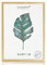 Ligarti® Bilderrahmen natur (Made in EU) I Rahmen aus Echtholz in 21x29,7 I Holzbilderrahmen, Holzrahmen I Picture Frame (A4, natur)
