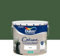 Dulux Valentine Crème de Couleur - Peinture multi-supports intérieure - Satin Vert Tropical 10 L