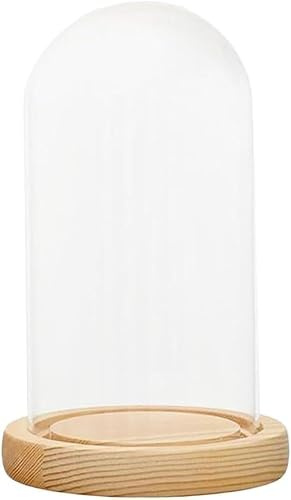 Cloche en verre, vitrine de table, 2 pièces de 5 à 10 cm de diamètre, couvercle de dôme en verre transparent avec base en bois, couvercle transparent pratique, vitrine multifonctionnelle(7x30cm)