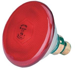 Philips Infrarot-Lampe für Tieraufzucht und industrielle Anwendung 150 Watt GH-Pack 10 Stück