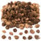 Baker Ross AC492 Lange Lärchenzapfen, im Vorteilspack, ideal für Bastelarbeiten für Kinder, Weihnachten, sensorische Stimulation und mehr, 250 g, Sortiert