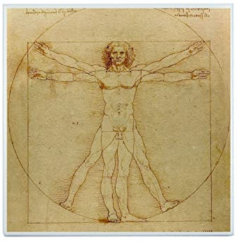 Fabulous Piastrella Ceramica Decorativa 15,2 x 15,2 cm - L'uomo Leonard de Vinci Art Celebre Science Disegno
