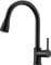 Peppermint Black Kitchen Tap with Pull Out Spray, Kitchen Sink Mixer Tap with 3 Mode Spray Head, Single Handle Modern Mono Mixers Bar Taps Faucet with High Arc 360 Swivel Spout