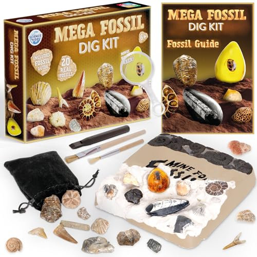 Science Kidz Mega Fossil Dig Kit - Excavate 20 Genuine Prehistoric Fossils, Fossil Hunting Kit For Kids, Educational STEM Science Kits, Fossil Digging & Excavation Toy