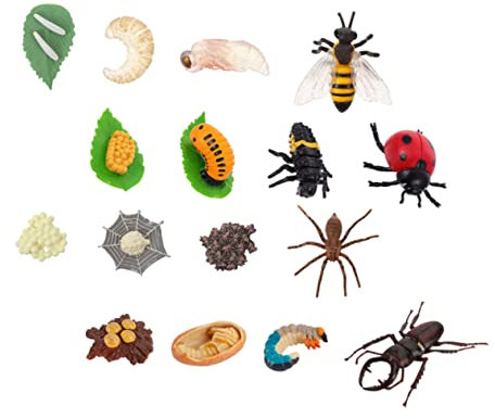 Abaodam Kognitives Insekten Wachstumsmodell Satz Kinder Lernspielzeug Aus Kunststoff Mit Schmetterling Marienkäfer Geweih Und Spinne Ebene Ausstellungsmodelle Für Kinder