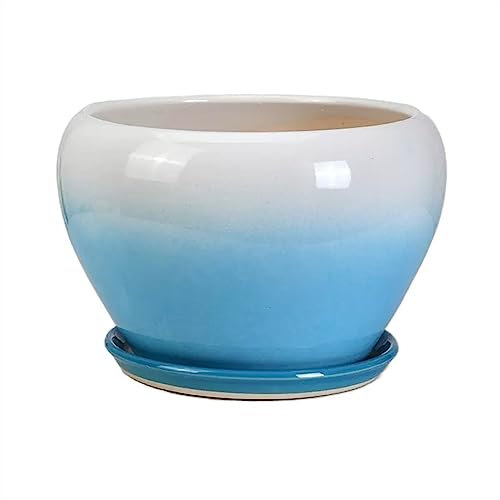 CJHFR472SG Grand pot de fleurs rond en céramique avec plateau - Couleur dégradée - Pour intérieur et extérieur (bleu, taille S)