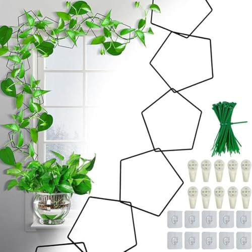 Chain Trellis for Climbing Plants, DIY Garden Chain Trellis, Garden Wall Trellis and Plant Vine Support for Monstera, Pothos, Ivy, Wisteria, Landscaping Accessories,