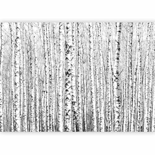 Fototapete murando Baum 350x256 cm Vlies Tapeten Wandtapete XXL Moderne Wanddeko Design Wand Dekoration Wohnzimmer Schlafzimmer Büro Flur Birke Wald Landschaft Natur schwarz weiß