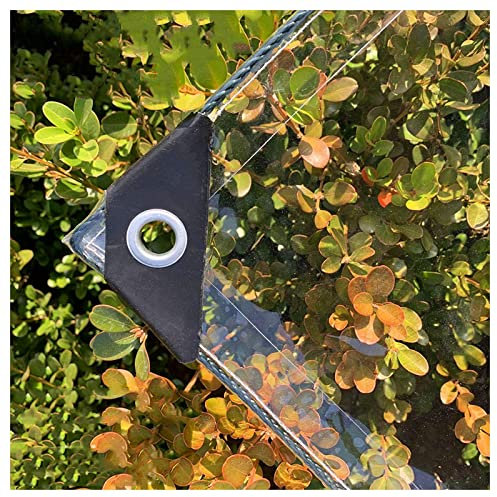 Abdeckplane Wasserdicht, Reißfest Transparent Plane mit Ösen, 0.3mm Dick Multifunktionale PVC Schutz Abdeckung, für Auto, Camping, Gartenmöbel, mit Seil und Kabelbindern, 420g/m² (2.4X3M)