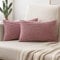 MIULEE 2er Set Kissenbezug Dekokissen Kissenbezüge Kissenhülle Zierkissen Sofakissen Kordsamt Deko Weich Couchkissen Bezug Kissenhüllen für Sofa Wohnzimmer Polsterkissen 30x50 cm Rosa Lila
