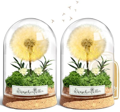 Wunscherfüller mit LED Licht, Echte Pusteblume im Glass, Ewig Geburtstagsgeschenk für Frauen Freundin Mädchen Geschenke für Geburtstag Hochzeit Jugendweihe Weihnachten Valentinstag 2 Stück (2 Stück)