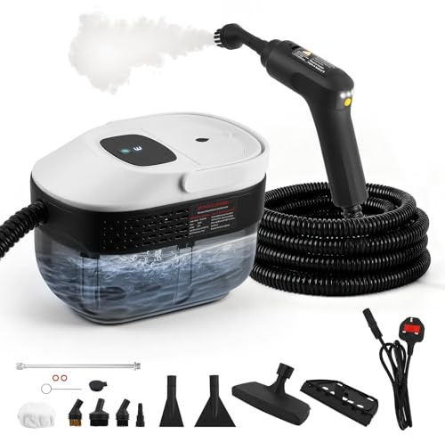 2500W Macinatrice a vapore per la pulizia, Pulitore a vapore Dispositivo portatile per casa, Pulitore a vapore per finestra, Pulitore a vapore portatile per finestra