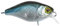 Illex Crankbait Chubby 38 Wobbler NF Ablette