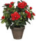 MICA Decorations Azalea Watch, Rojo, Extra Large