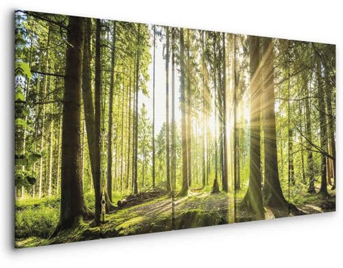 murando - Quadro Bosco 225x90 cm 5 Pezzi Stampa su tela XXL Immagini Moderni Murale Fotografia Grafica Decorazione da parete Quadri Componibili Bosco Foresta Natura Panorama Albero c-C-0177-b-n