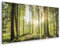 murando - Quadro Bosco 225x90 cm 5 Pezzi Stampa su tela in TNT XXL Immagini Moderni Murale Fotografia Grafica Decorazione da Parete Quadri Componibili Bosco Foresta Natura Panorama Albero c-C-0177-b-n