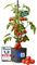 EW24 Tomatentopf 29 cm x 29 cm - integrierter 4 Liter Wasserspeicher und mitwachsende Rankhilfe bis zu 126,2 cm - optimaler Schutz vor Schädlingen - für Balkon, Garten, Terrasse