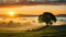 Acryl-Bild 50 x 30 cm: Einsamer Baum auf der Wiese bei Sonnenaufgang. Naturkomposition. (212870988)