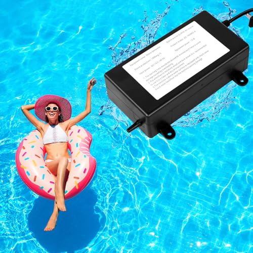 HOSOUTION Generatore di ozono 1000mg/H, Generatore di ozono Acqua Mantenere il tuffo freddo pulito più a lungo, Filtro a immersione fredda, Gorgogliatore di ozono per produrre, Generatore di ozono per
