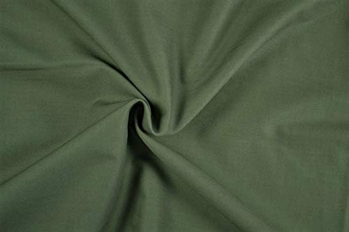 Generisch Baumwolle - Uni/einfarbig - Meterware-Öko-Tex - 0,25 m-220g/lfm - Fahnentuch - Baumwollstoffe (Blassgrün 7037)