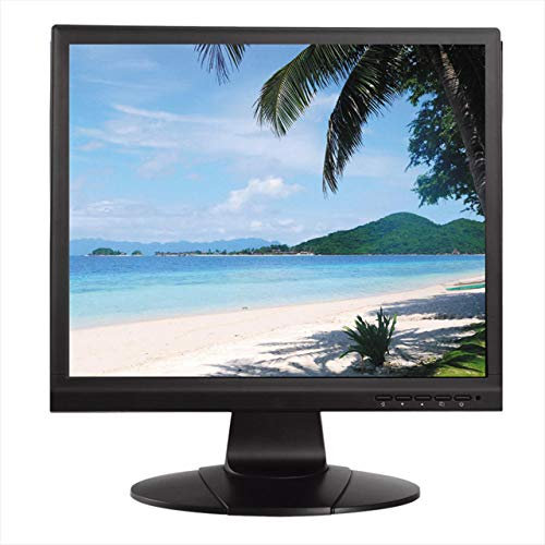 LM19-L100 Monitor LCD 19