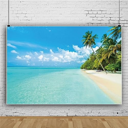 Mateju Meer Fotografie Hintergrund, Blauer Himmel WolkenStrand Fotoleinwand Hintergrund, Vinyl Fotohintergrund Tuch, Poster Foto Video Hintergrund Fotostudio Requisiten (5x3 FT,Stil D)