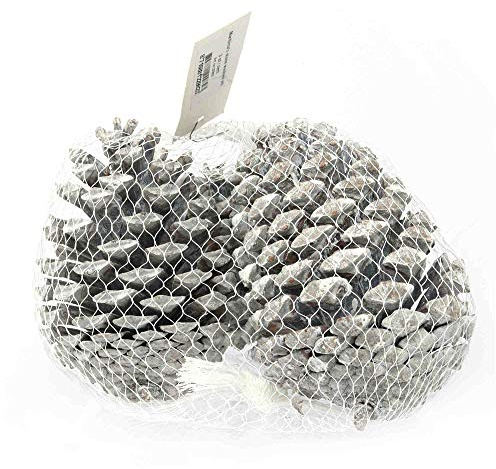 Lino GmbH 3 x Deko Maritima´s Stone Washed Weiss 90-110 mm Zapfen Deko Natur