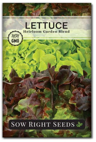 Sow Right Seeds - Mixed Heirloom Lettuce Seeds for Planting - Non-GMO Heirloom Packet with Instructions to Plant & Grow a Home Vegetable Garden - Colorful Mix for Outdoors or Indoors Hydroponics (1)