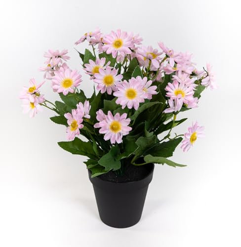Margeritenbusch 32cm im Topf JA Kunstpflanzen Kunstblumen künstliche Margerite Blumen Pflanzen (Rosa)